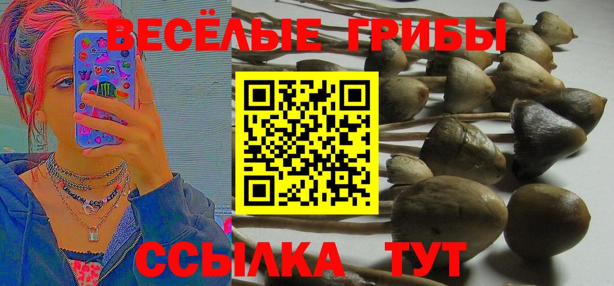 Кубинка  Псилоцибиновые грибы мухоморы  Вход с VPN 